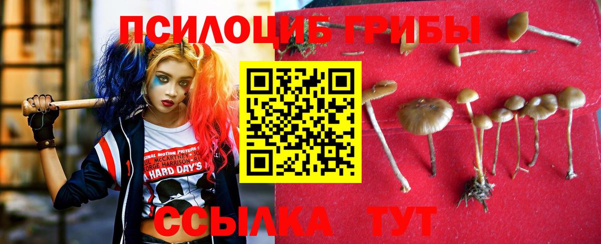 Псилоцибиновые грибы GOLDEN TEACHER  Вход с VPN  Биробиджан  где купить наркоту  Псилоцибиновые грибы мухоморы 